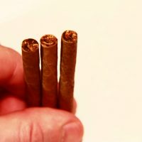 Mans hand hold  a natural cigarillo isolated on the white background