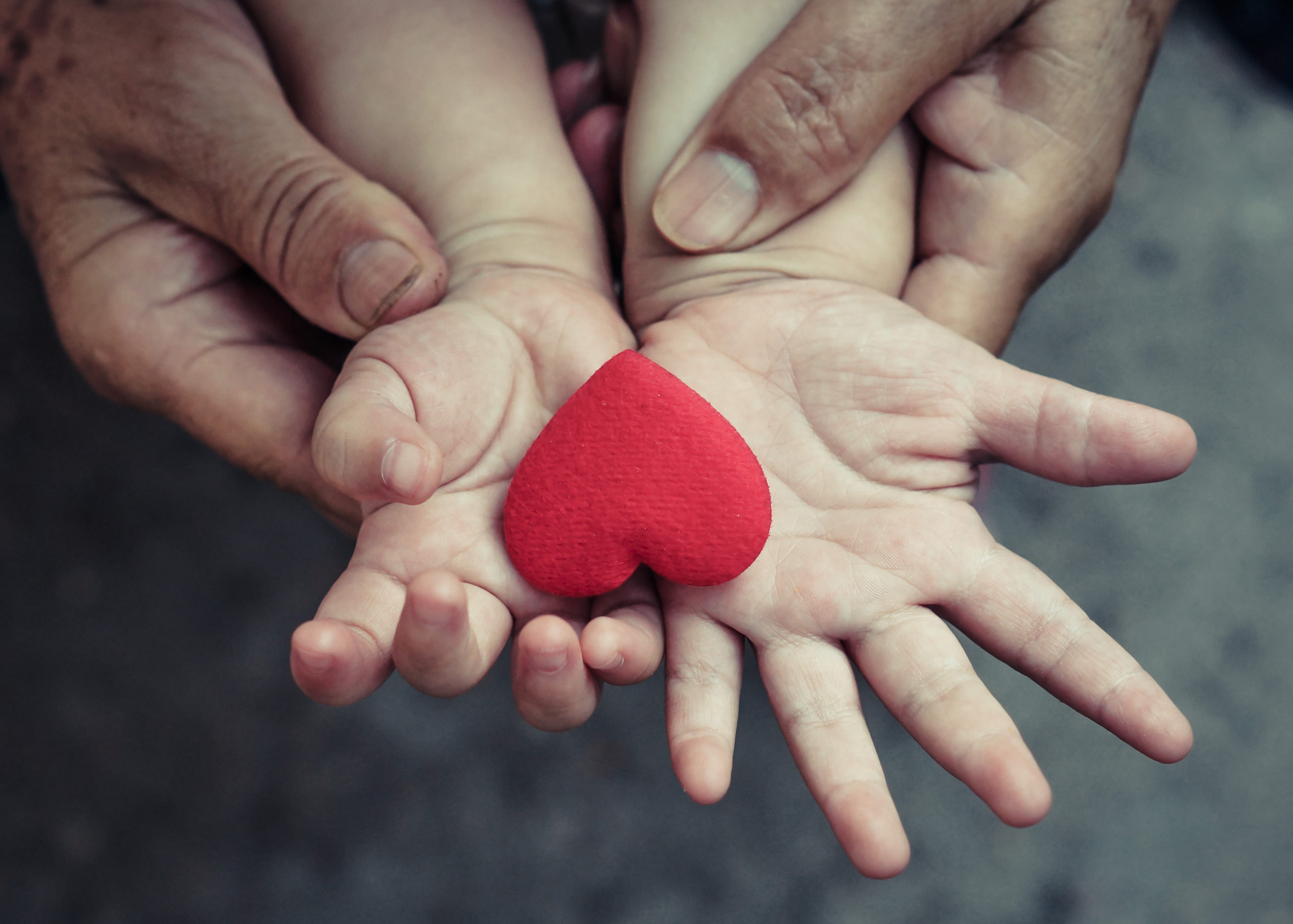 old hands holding young hand of a baby with red heart - family love and warmth concept