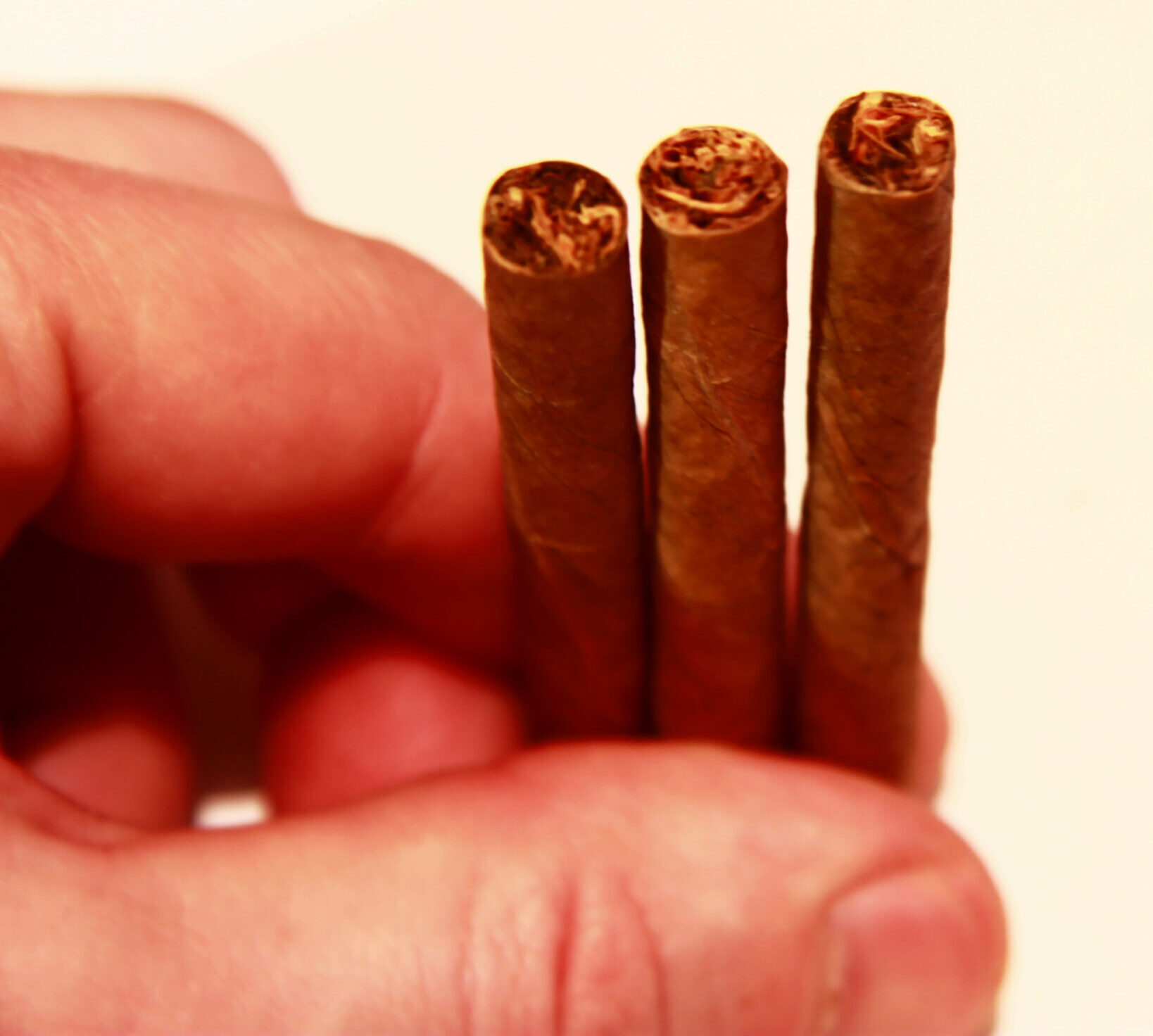 Mans hand hold  a natural cigarillo isolated on the white background